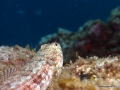 P5270912